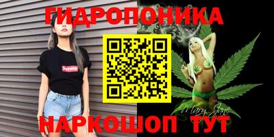 СК Краснознаменск