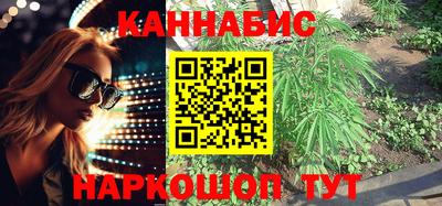СК Краснознаменск