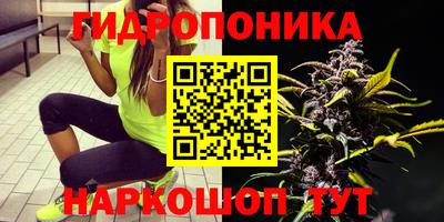 СК Краснознаменск