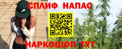 СК Краснознаменск