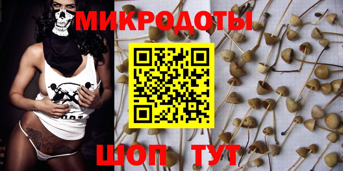 Псилоцибиновые грибы ЛСД Ковров