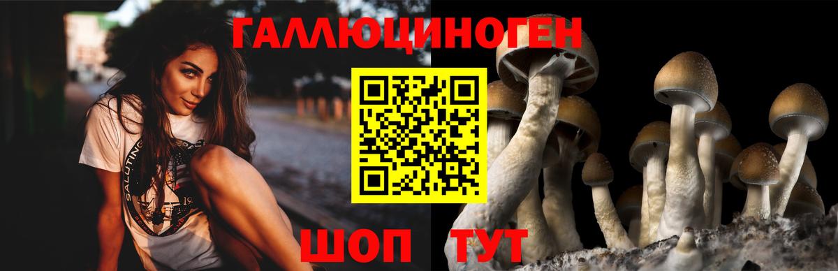Ковров  Псилоцибиновые грибы MAGIC MUSHROOMS  Вход с VPN 