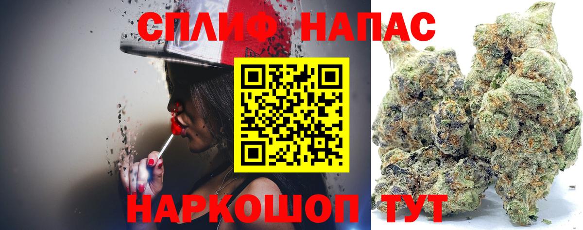 Канабис MAZAR Ковров